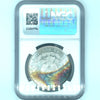 1880 S $1 Silver Morgan Dollar MS 62