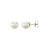 14K Akoya Cultured Pearl Earrings, choose from 4mm - 8MM and White or Yellow Gold